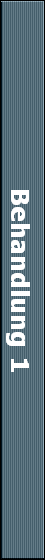 Behandlung 1