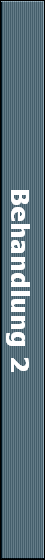 Behandlung 2