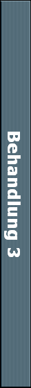 Behandlung 3