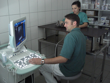 unser Ultraschallger�t