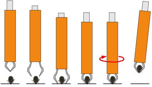 zeckenentfernung2_30
